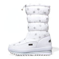 Thickened warm winter ladies multicolor snow boots Northeast plus velvet anti-slip high-heeled women&#039;s cotton shoes